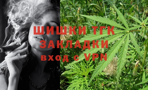 дживик Дмитров