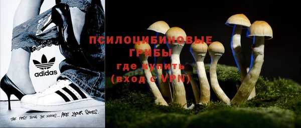 дживик Дмитров