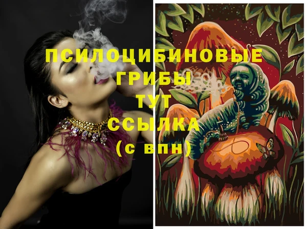 дживик Дмитров